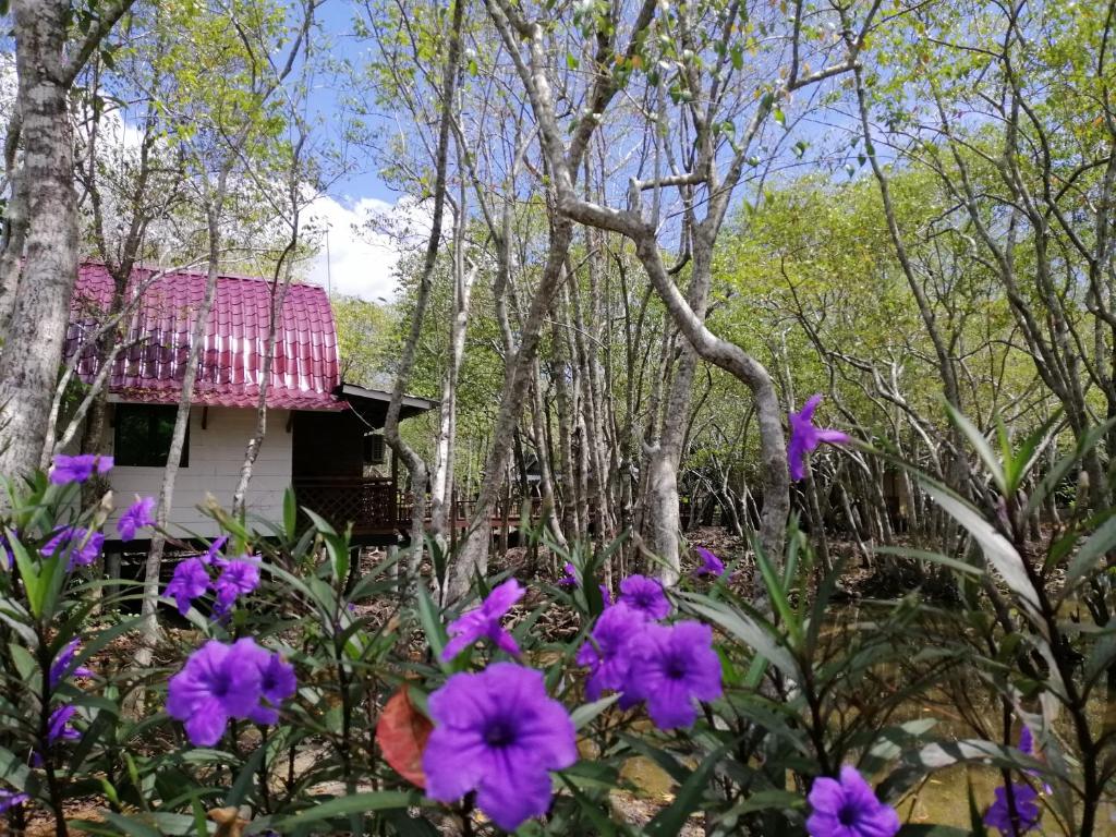 Zahrada ubytování Api-api Eco Chalet