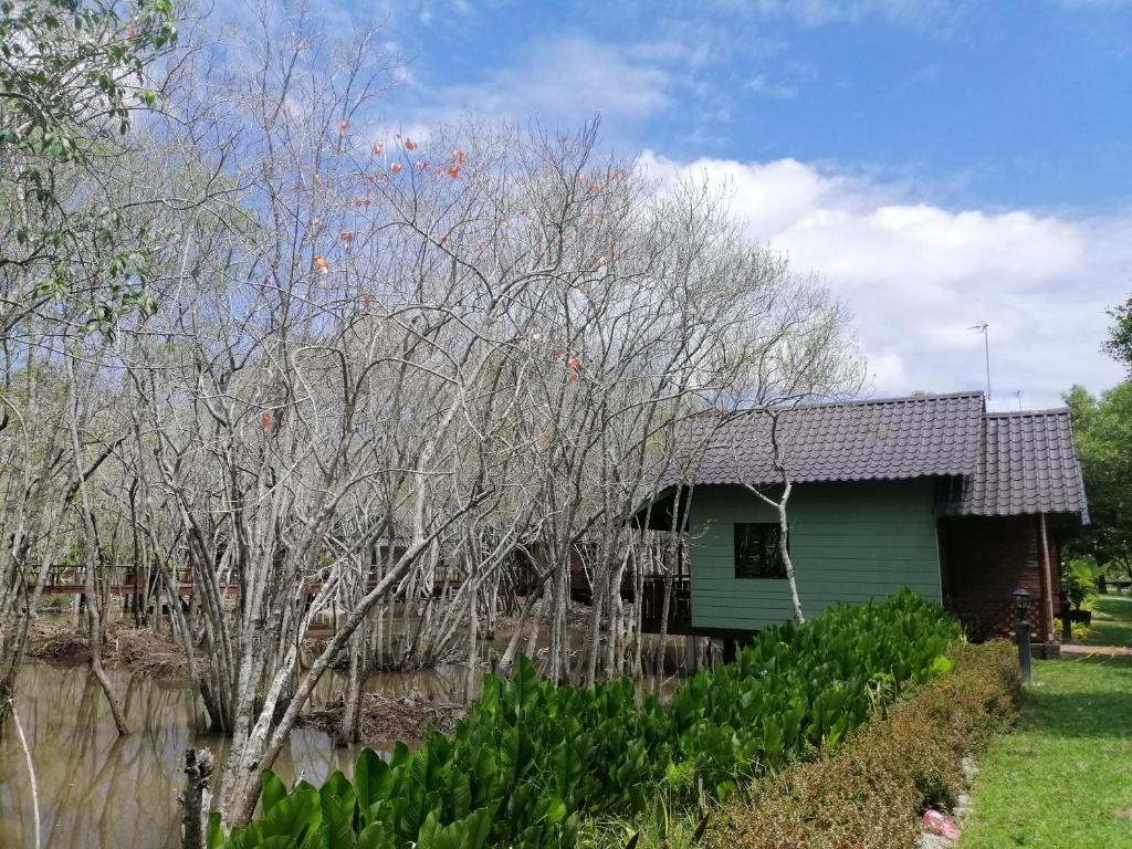 Zahrada ubytování Api-api Eco Chalet