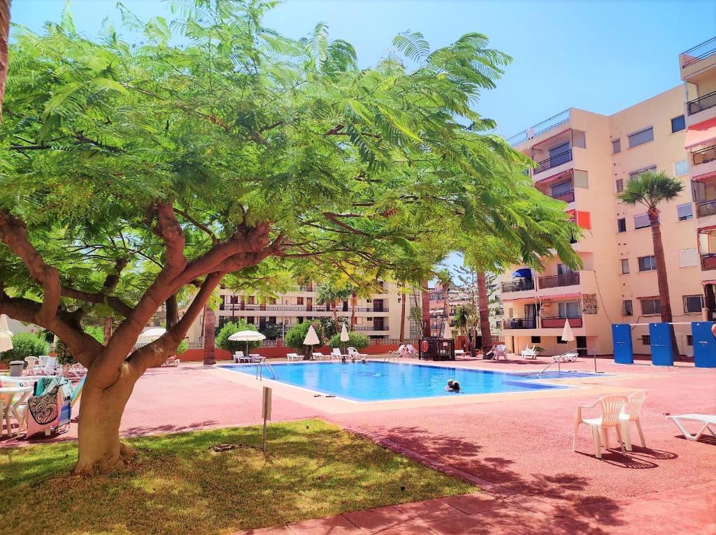 un albero di fronte alla piscina di Cris Sol Apartments a Los Cristianos