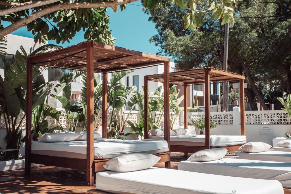 Zahrada ubytování Hotel Boutique & Spa Las Mimosas Ibiza