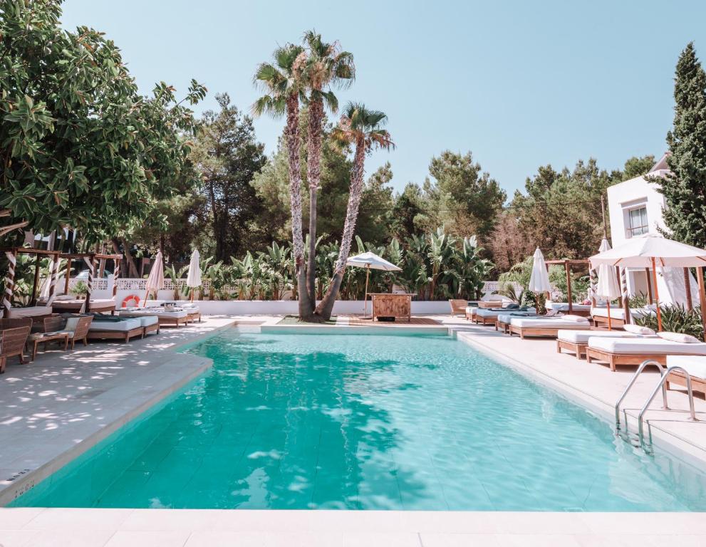 Hotel Boutique & Spa Las Mimosas Ibiza في خليج سان أنتوني: مسبح مع كراسي جلوس ومظلات في المنتجع