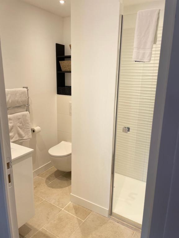 a bathroom with a toilet and a glass shower door at LA MEFFRAIS 1741 in Dinan