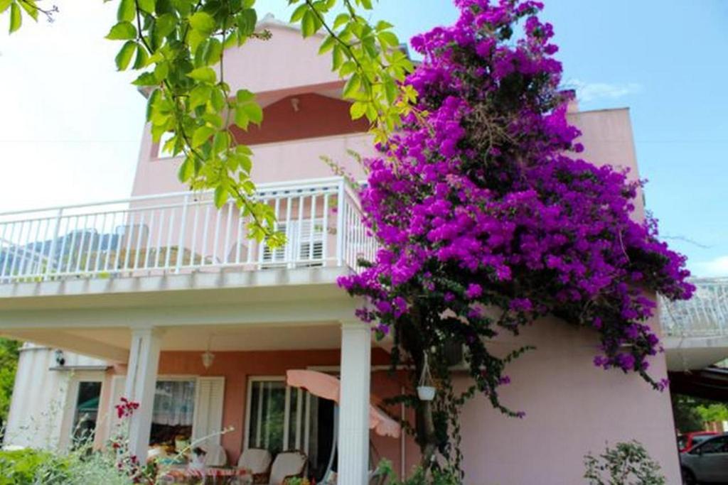 Fotografia z galérie ubytovania Apartments with a parking space Orebic, Peljesac - 14834 v destinácii Orebić