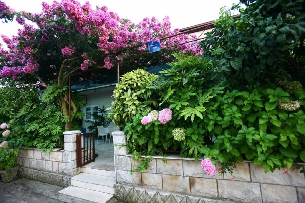a garden with pink flowers on a wall at Apartments by the sea Loviste, Peljesac - 15150 in Lovište