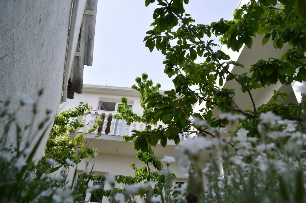 a view of a building through the leaves of trees at Apartments with a swimming pool Gizdavac, Zagora - 12053 in Neorić
