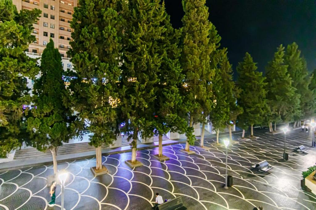 un gruppo di alberi su una strada di notte di M Estate. 2 Room Home in Targovu a Baku