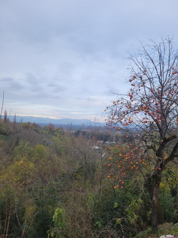 Φυσικό τοπίο κοντά σε αυτός ο ξενώνας