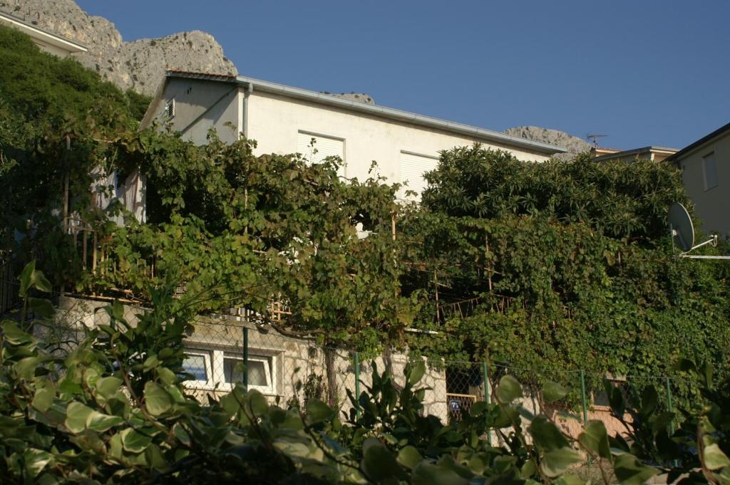 Fotografie z fotogalerie ubytování Apartments by the sea Omis - 2823 v Omiši
