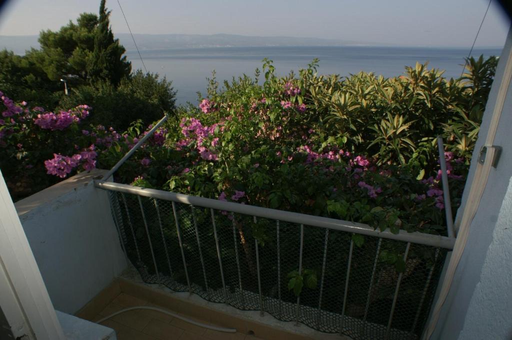 Fotografie z fotogalerie ubytování Apartments by the sea Omis - 2823 v Omiši