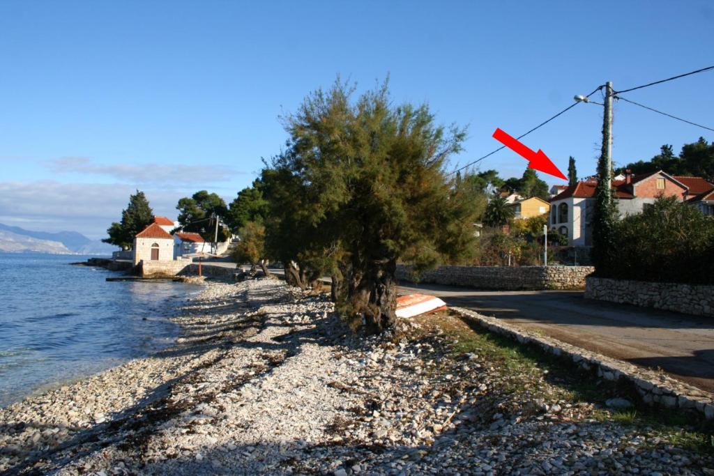 un arbre sur la rive d'une masse d'eau dans l'établissement Apartments and rooms by the sea Sutivan, Brac - 2943, à Sutivan