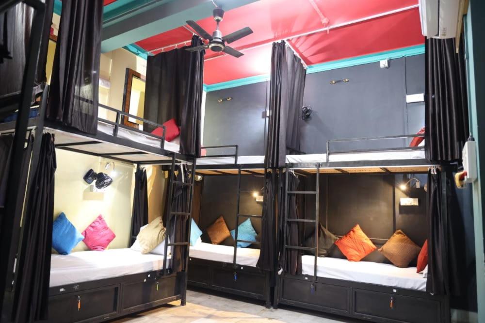 grupa czterech łóżek piętrowych w pokoju w obiekcie Sant Kripa Backpackers Hostel w mieście Dźodhpur
