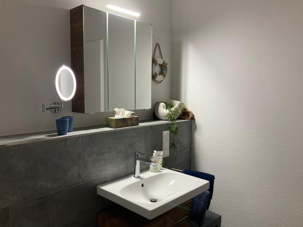 本斯海姆的住宿－Alte Papierfabrik，一间带水槽和镜子的浴室