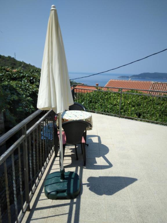 Příroda nedaleko apartmánu