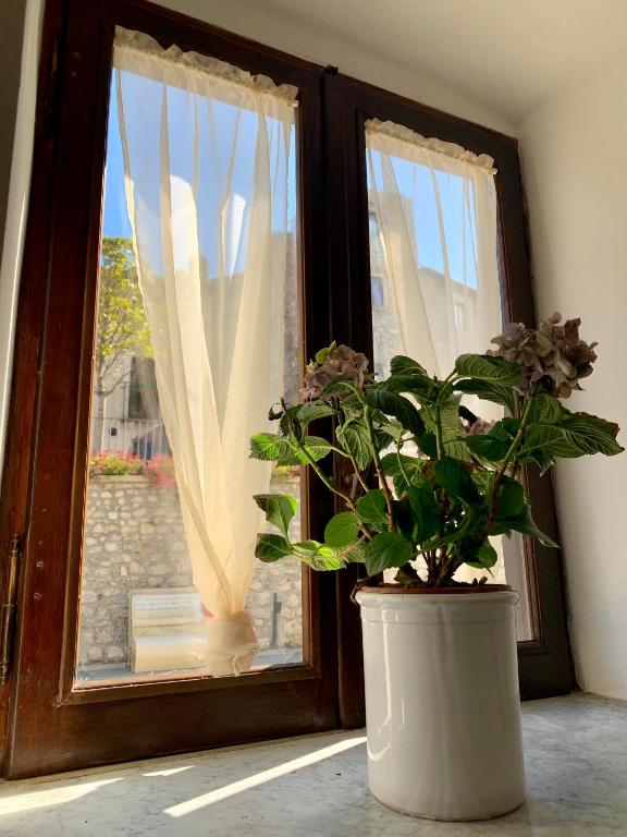 Zahrada ubytování B&B Nonno Loreto
