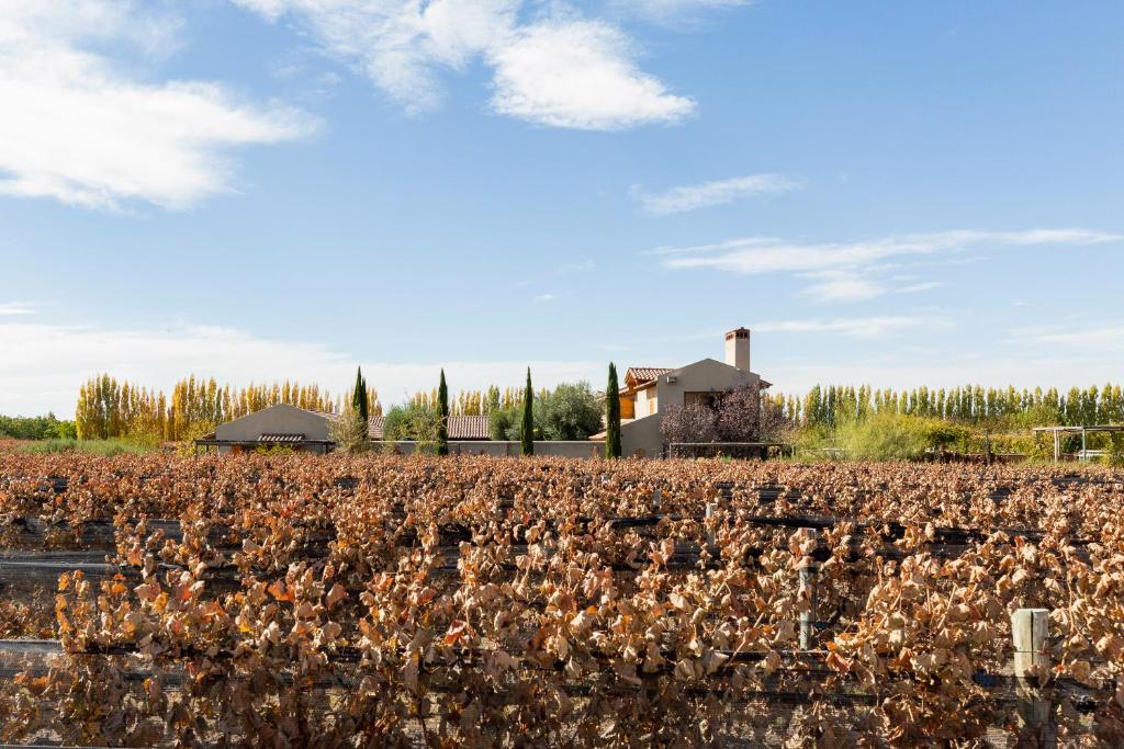 Finca La Gracia
