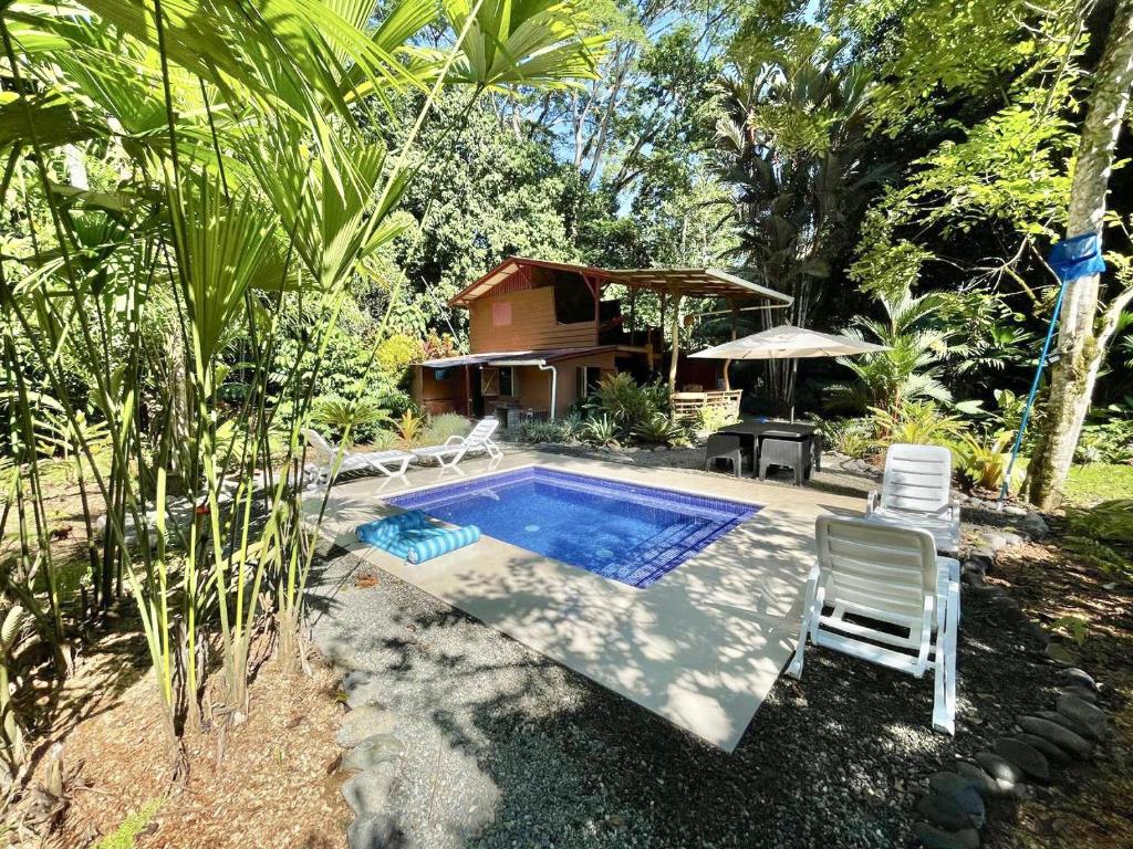 una piscina con 2 sillas y una casa en Casa Mambo Pool House, en Puerto Viejo