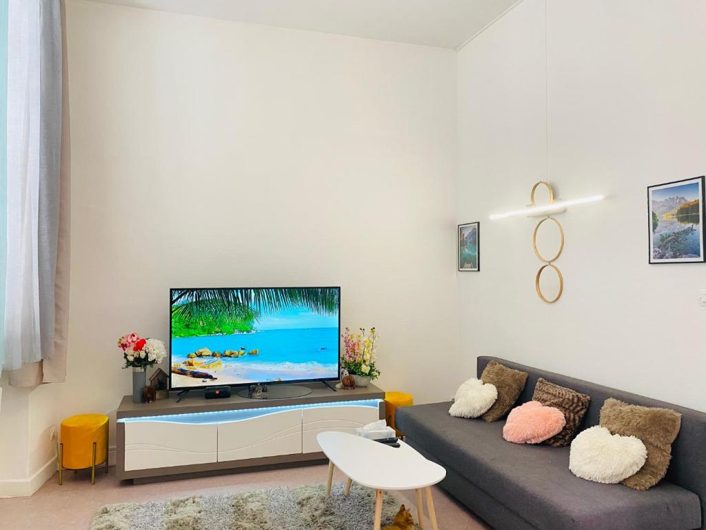 a living room with a couch and a flat screen tv at LYON Full Entier Appartement in Lyon