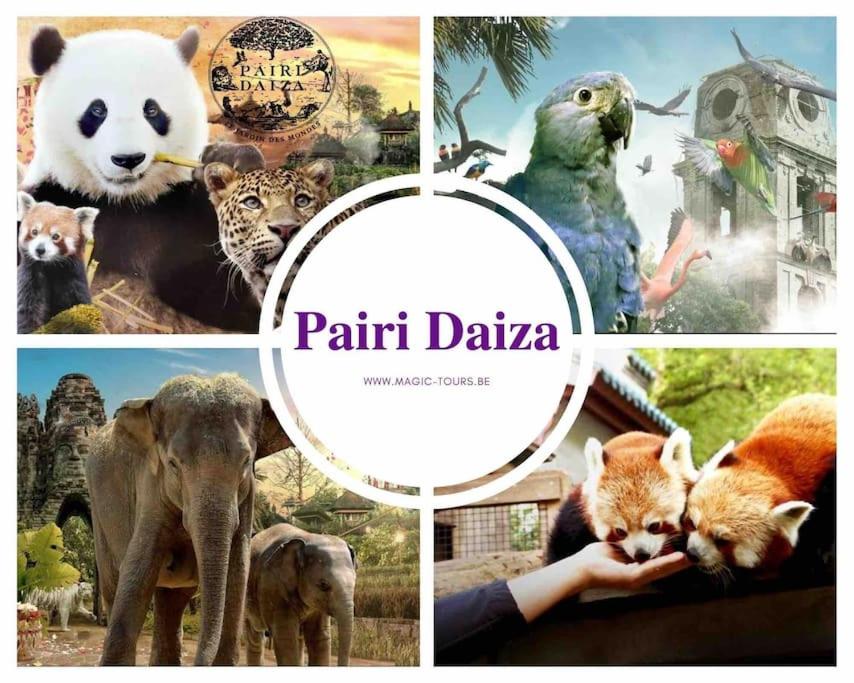 Animais na casa de férias ou nos arredores