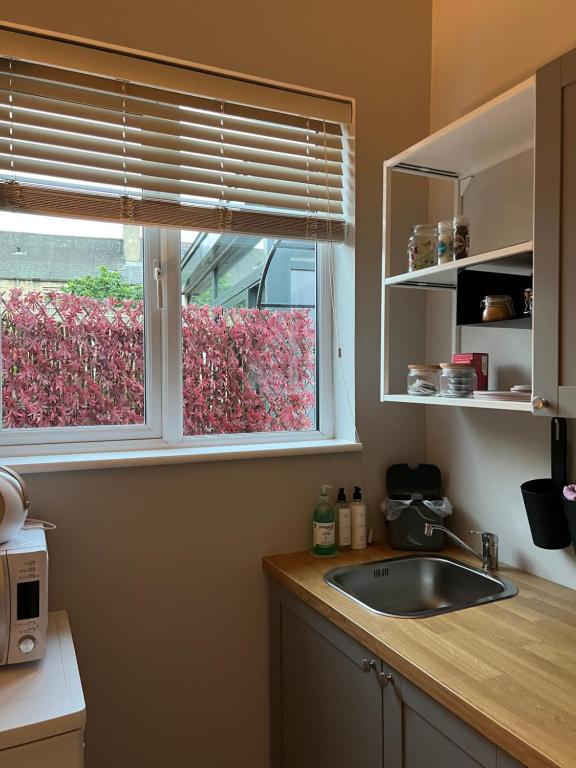 Kuchyň nebo kuchyňský kout v ubytování Hugo Mews Bright Studio Apartment