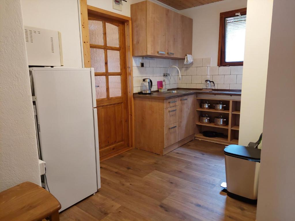 Kuchyň nebo kuchyňský kout v ubytování ZÁTOKA Živohošť - Apartmány