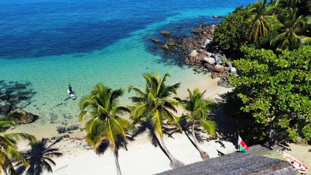 an aerial view of a beach with palm trees and the ocean at Remo e Berenice in Nosy Komba