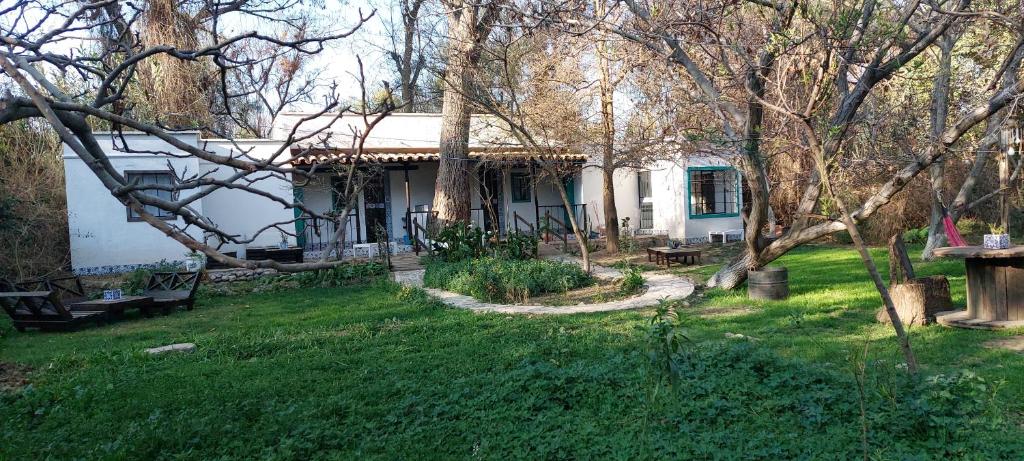 Villa Isabel - Housity