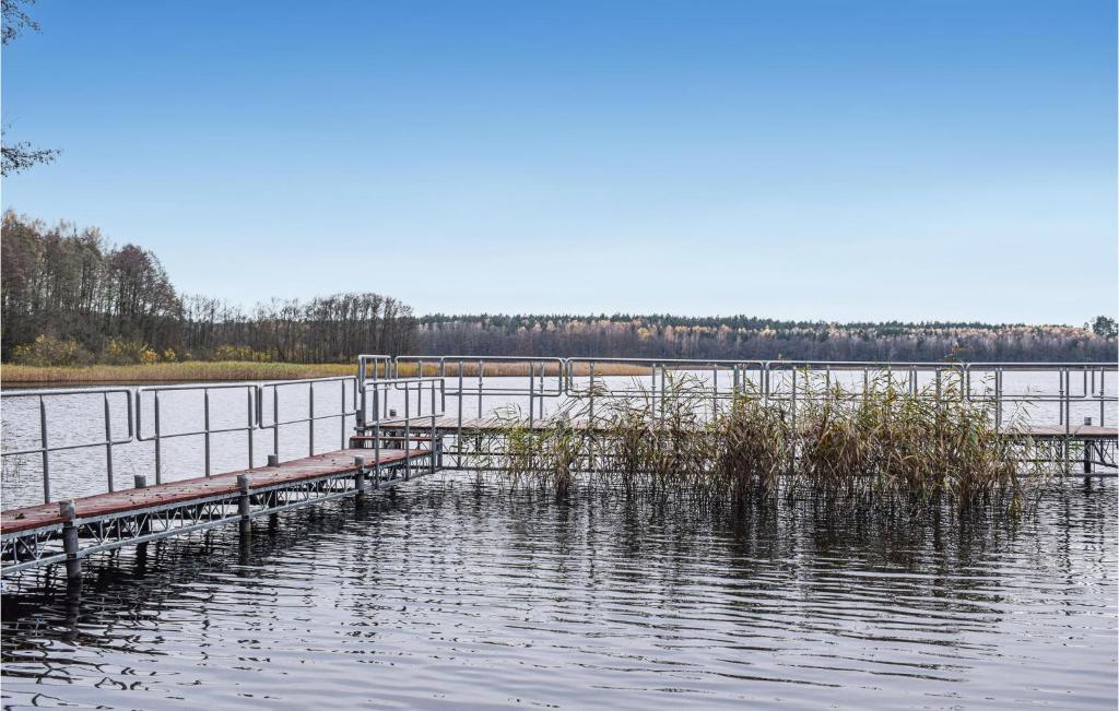 Przyroda w pobliżu tego domu wakacyjnego