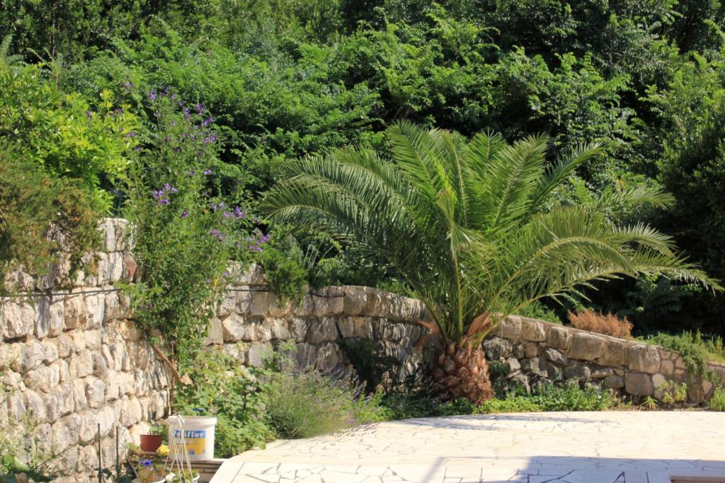 Vonkajšia záhrada v ubytovaní Apartments with a parking space Slano, Dubrovnik - 3184
