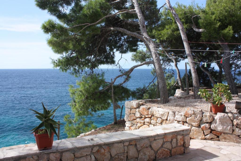 Fotografie z fotogalerie ubytování Family friendly seaside apartments Jagodna, Hvar - 3250 v destinaci Jelsa