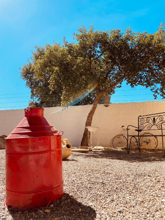 Imagem da galeria de Casa Portus - Turismo Rural em Faro