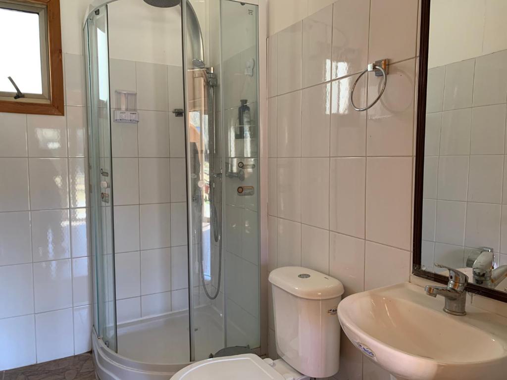 a bathroom with a shower and a toilet and a sink at Parcela Doña Leo in Puerto Ingeniero Ibáñez