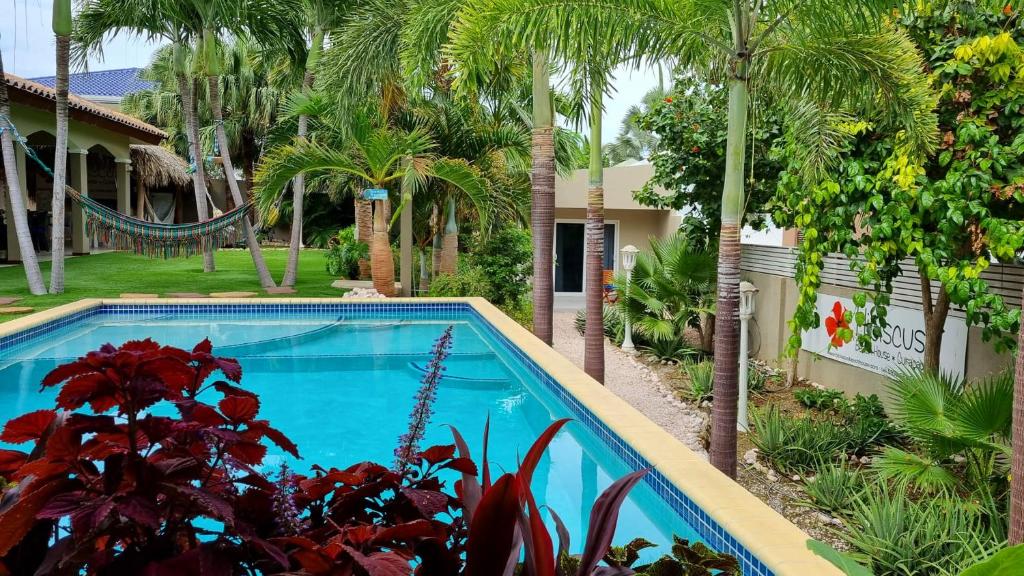 a swimming pool in a yard with palm trees at Hibiscus Beach House in Willemstad