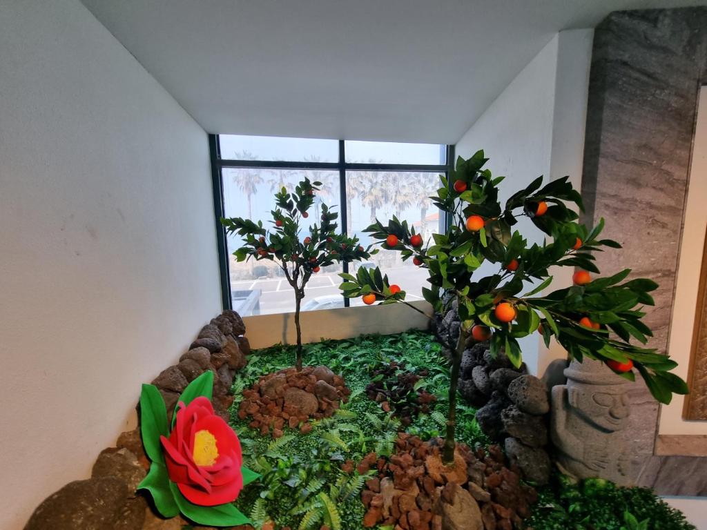 Zahrada ubytování Sea Cliff Hotel Jeju