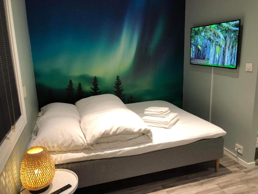 a bedroom with a bed with the northern lights at Central studio apartment Apt 104 in Stavanger