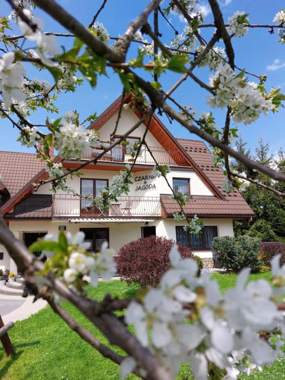 a house with white flowers in front of it at Czarna Jagoda in Czarna Góra