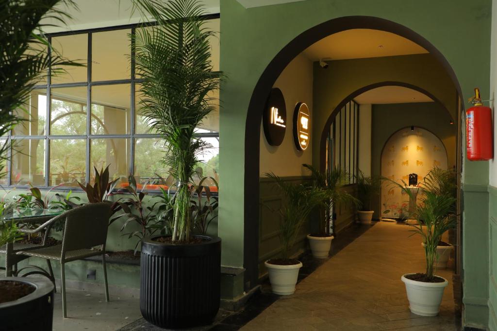 Hotel City Express By Downtown في أودايبور: مدخل مع نباتات الفخار في مبنى