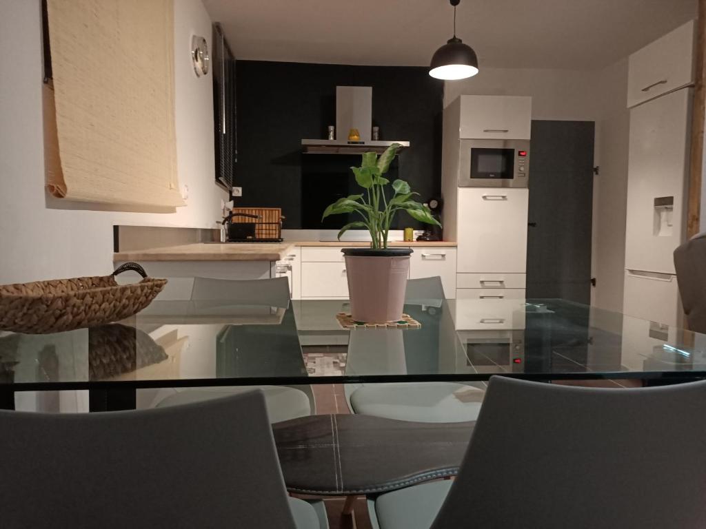 Η κουζίνα ή μικρή κουζίνα στο magnifique studio pour curiste
