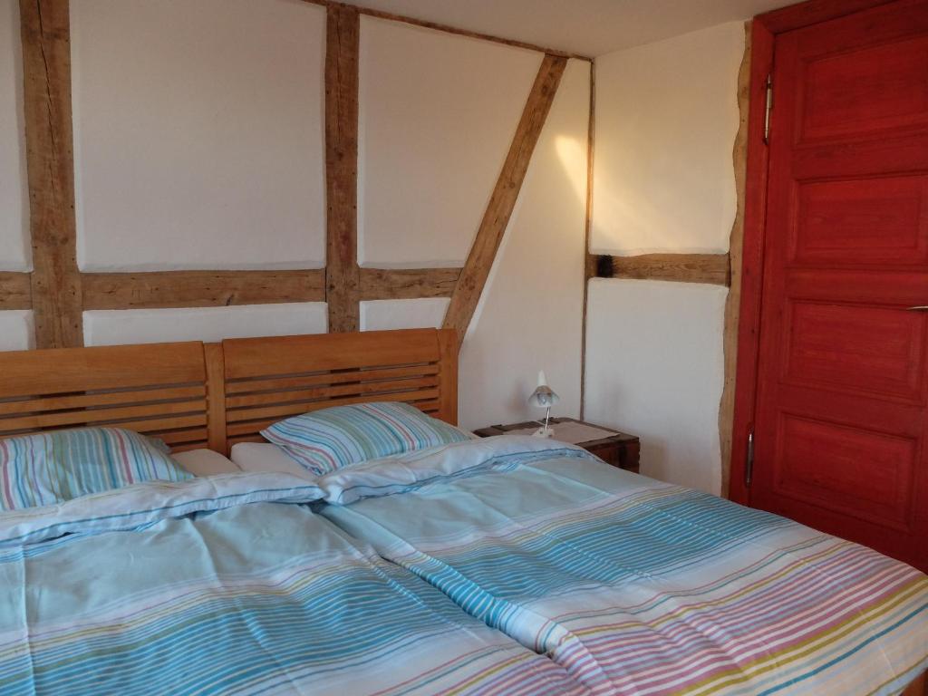 StrodehneにあるBotanische Botschaftのギャラリーの写真