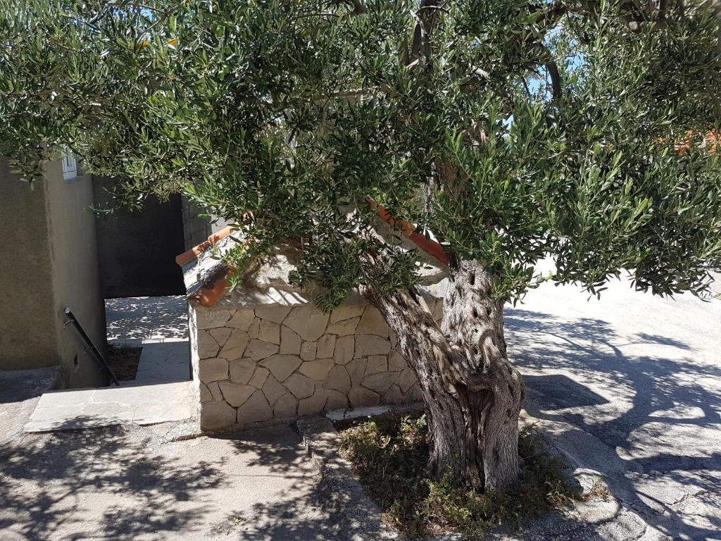 Fotografia z galérie ubytovania Apartmani LuMa Apartman Marija v destinácii Stanići