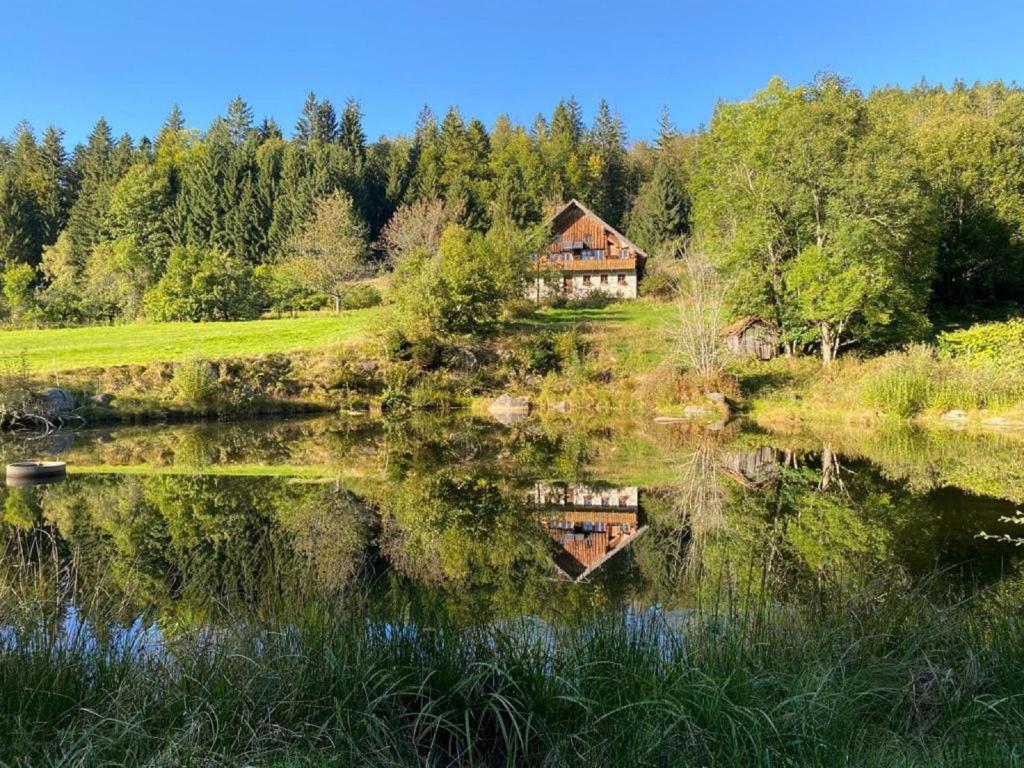 a house is reflected in the water of a lake at Ferienhaus Klause in Neureichenau