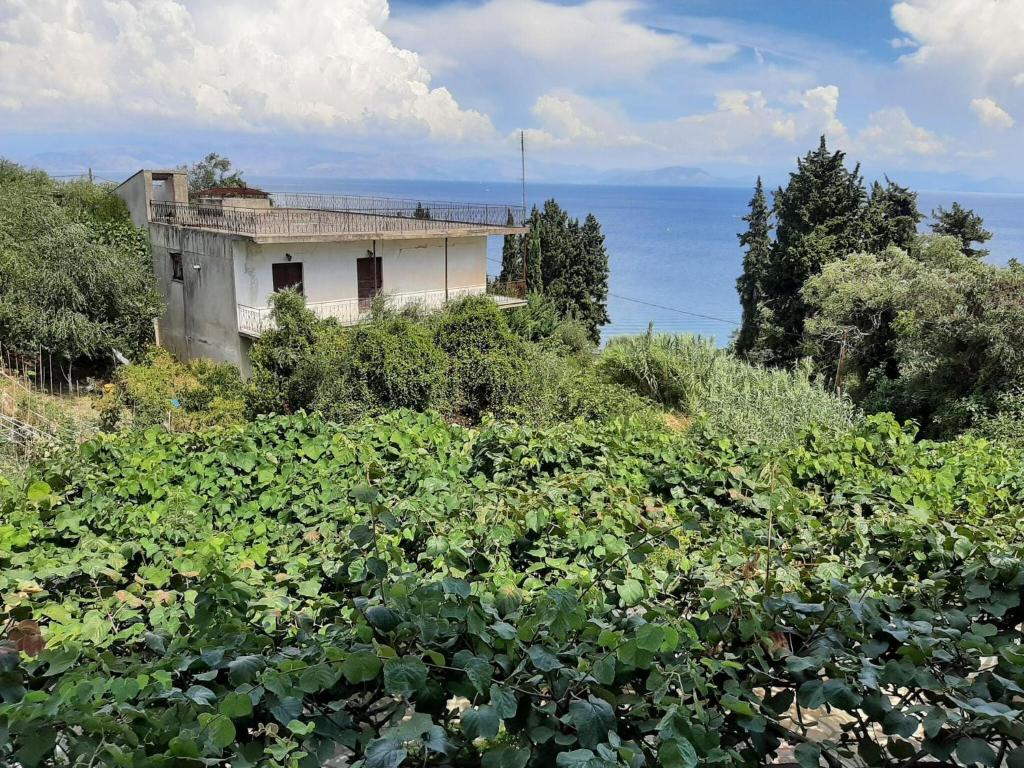 Príroda v okolí apartmánu