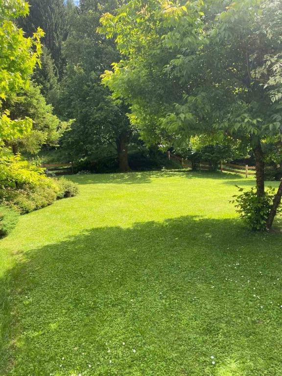 Zahrada ubytování Villa Dona