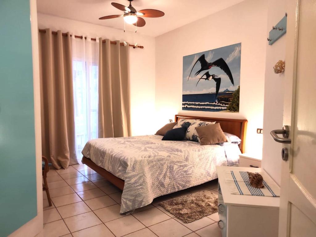 ein Schlafzimmer mit einem Bett und einem Vogelbild in der Unterkunft Beach house Agua Viva, Praia de Chaves, Boa Vista, Sal Rei, Cape Vert, 50mt spiaggia in Cabeçadas