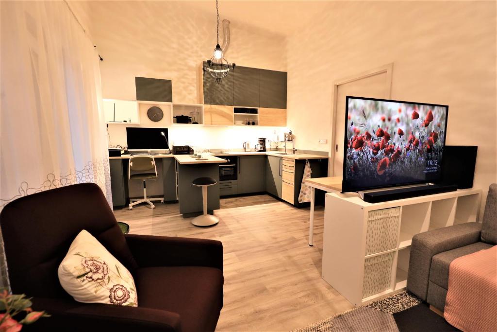 TV a/nebo společenská místnost v ubytování PRAHA - SULICE