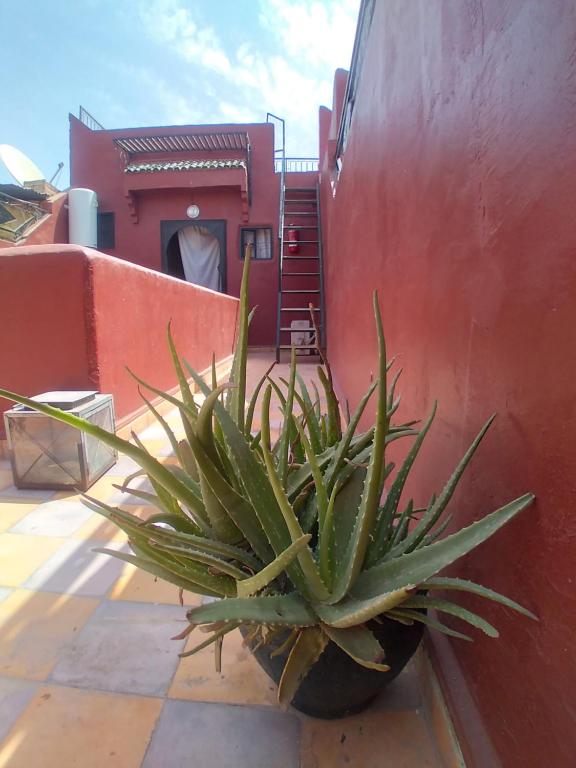Budova, kde se riad nachází