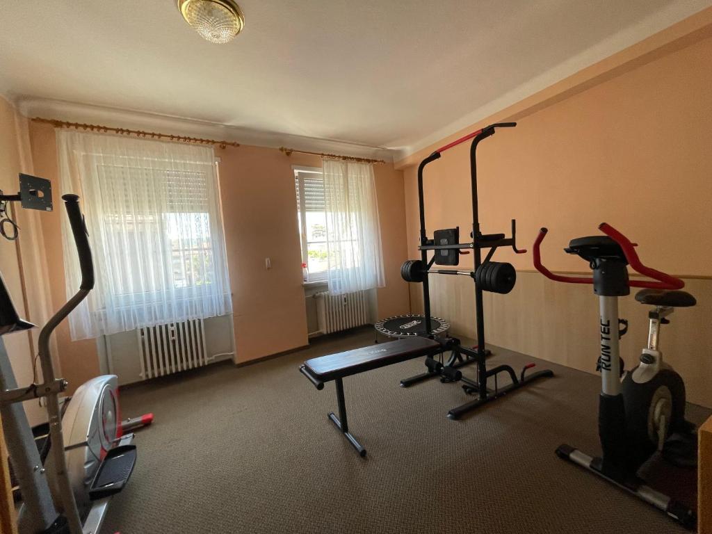 Fitness centrum a/nebo fitness zařízení v ubytování Hotel Walzwerk