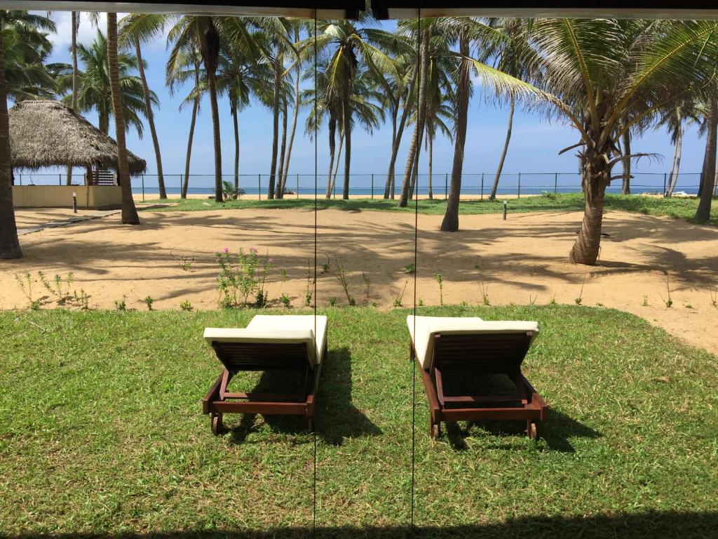 dwa leżaki na plaży z palmami w obiekcie Paradise holidays in the tropics w mieście Kottanitivu