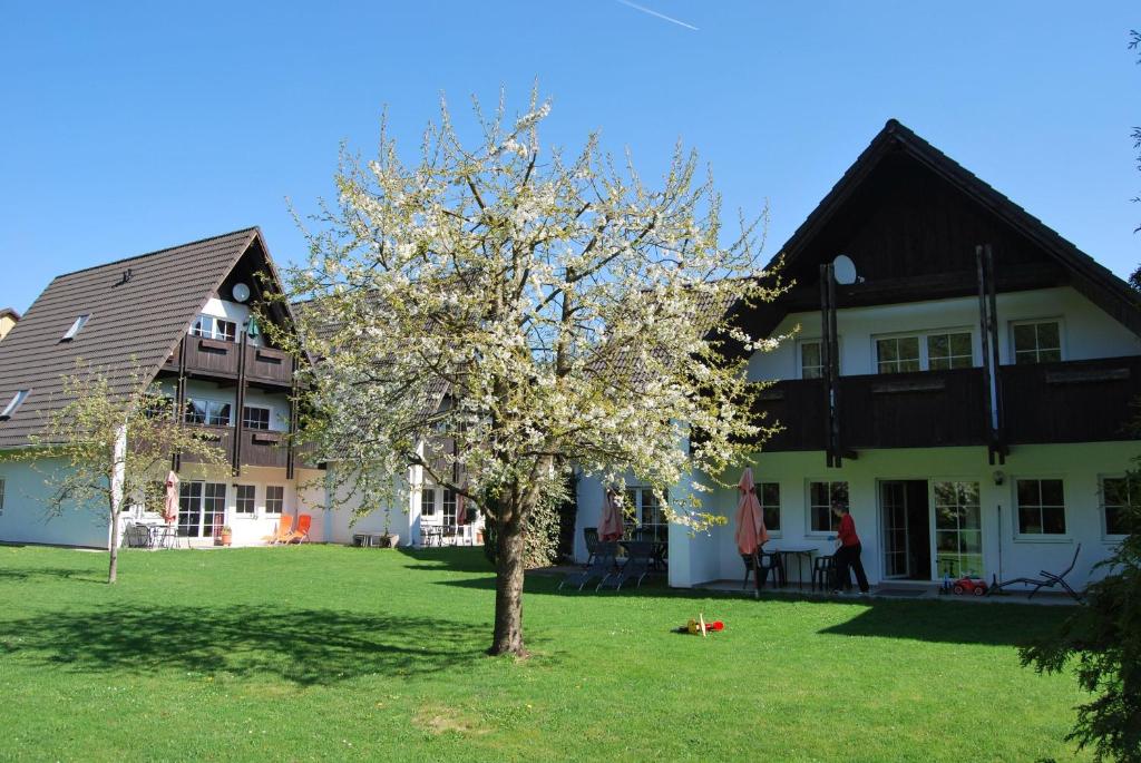 un árbol en un patio delante de una casa en Ferienwohnung-Stricker-Typ-B-Balkon-2-2, en Walkenried