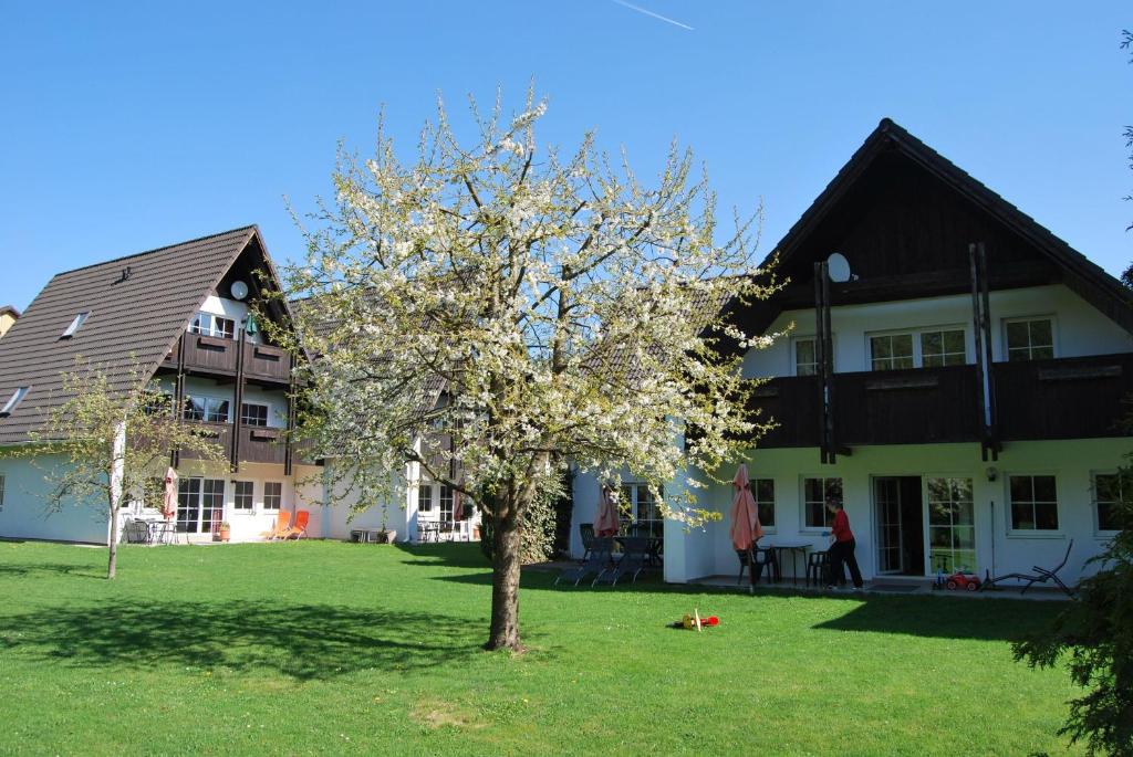 un arbre dans une cour devant une maison dans l'établissement Ferienwohnung-Stricker-Typ-B-Balkon-2-2, à Walkenried
