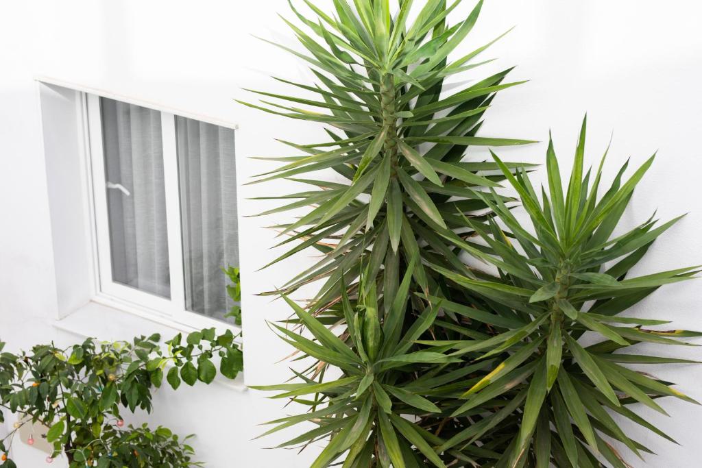 La Boutique Puerta Osario - Resim 35